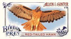 15AGBB_SS_7101_HAWK