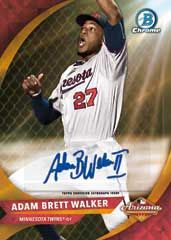 16BCBB_2501_AFLFallStarsAuto_Walker