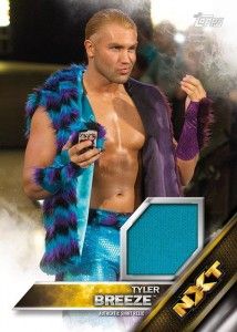 16wwe19