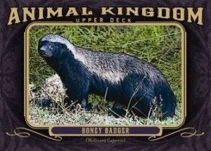 HoneyBadger