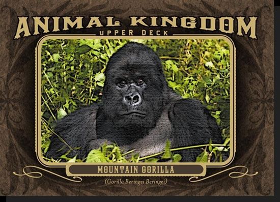 Animal Kingdom Gorilla Card