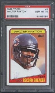 Payton 7