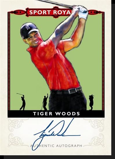 Tiger Woods Goodwin Champions Auto
