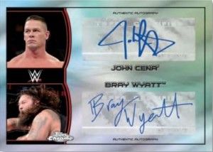 wwe1510