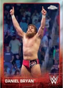 wwe151